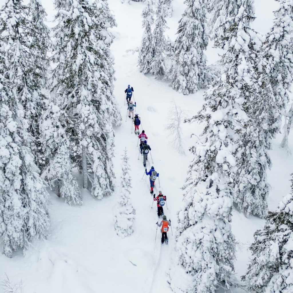 Deelnemers leiderschapsreis Finland in winterse natuur van het Pallas-Ylläs Nationaal Park